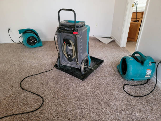 Best Basement water damage restoration  in Staples, CT