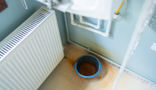 Best Water damage contractors near me  in Staples, CT
